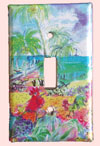 Ocean Switch Plate Covers