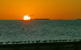 Gulls Sunset Photo