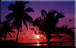 Key West Sunset Photograph- Three Palms