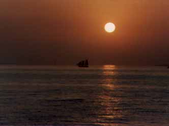 lori2.jpg (4916 bytes)