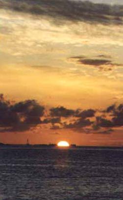 lori5.jpg (12391 bytes)