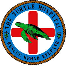 Turtle Hospital